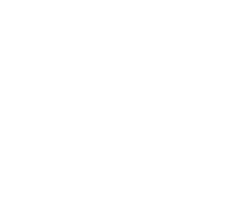 The Cycling Company